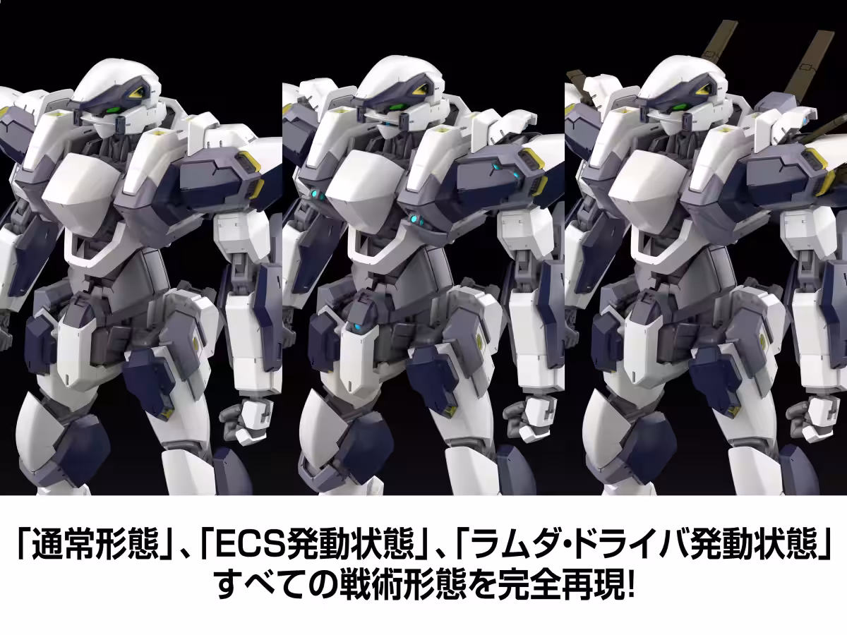 画像8
