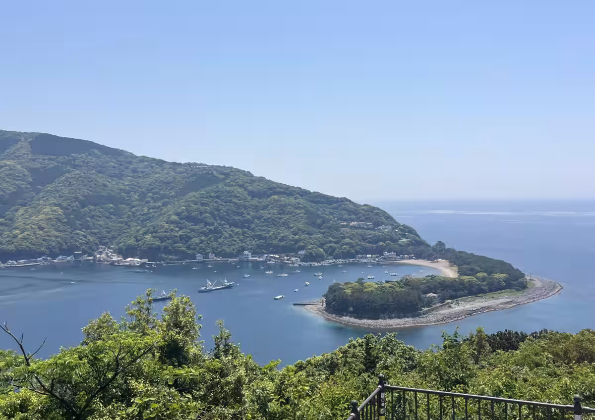 画像4