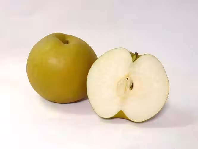 画像9