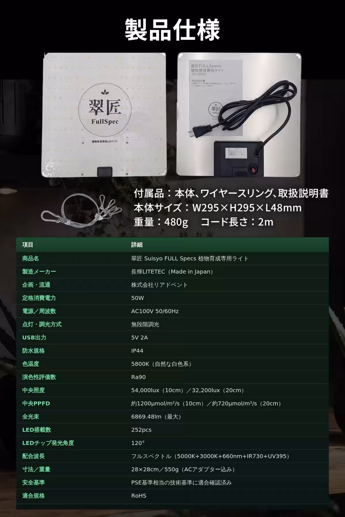 画像23
