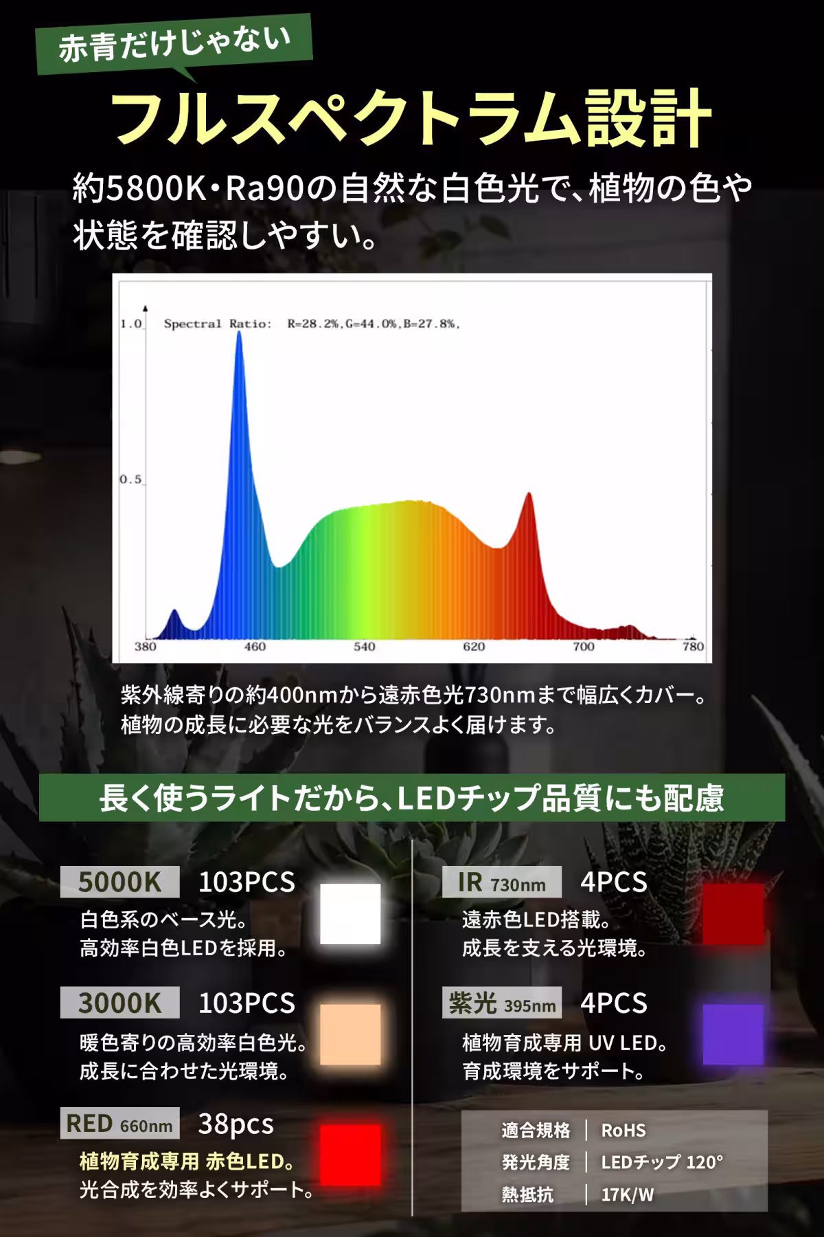 画像13