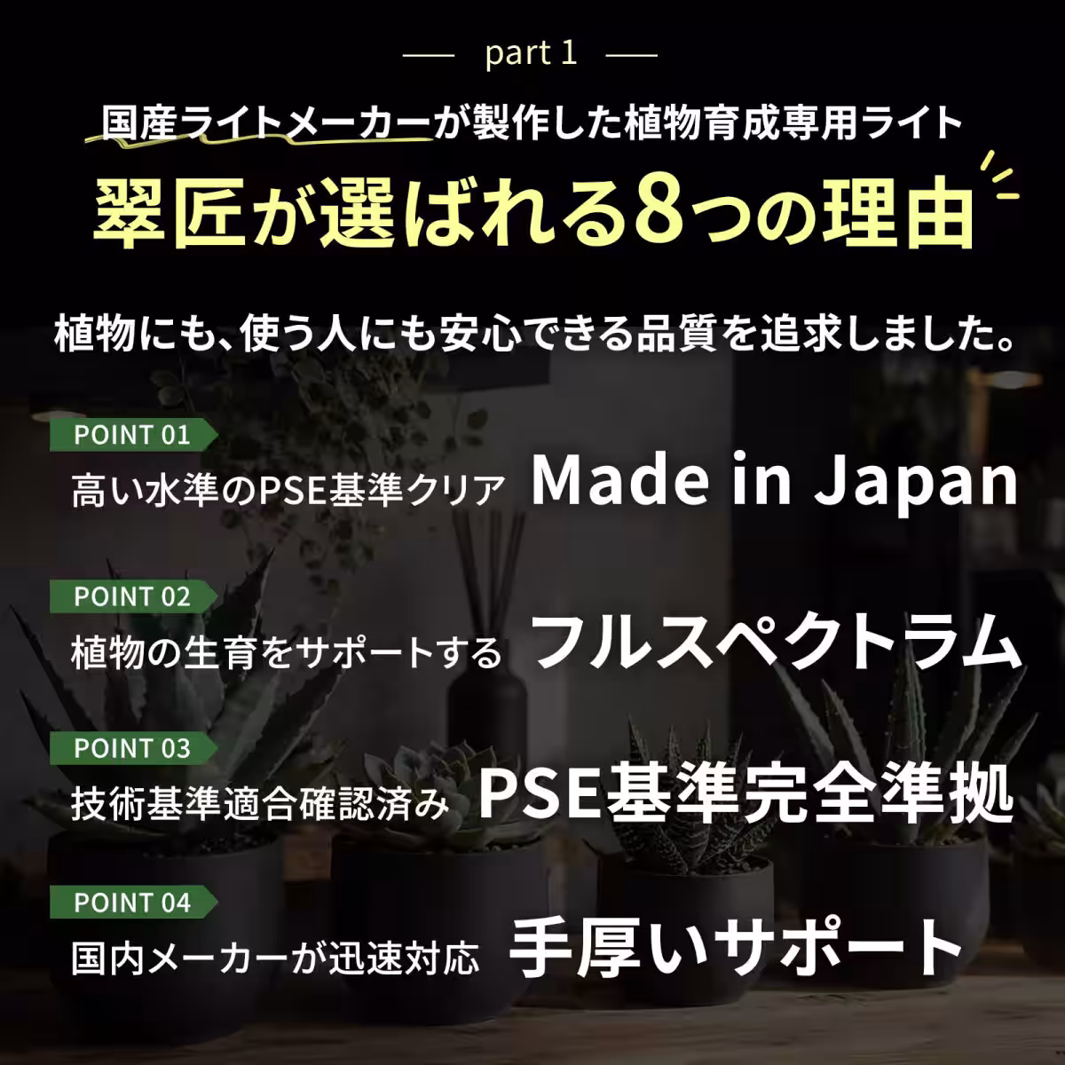 画像19