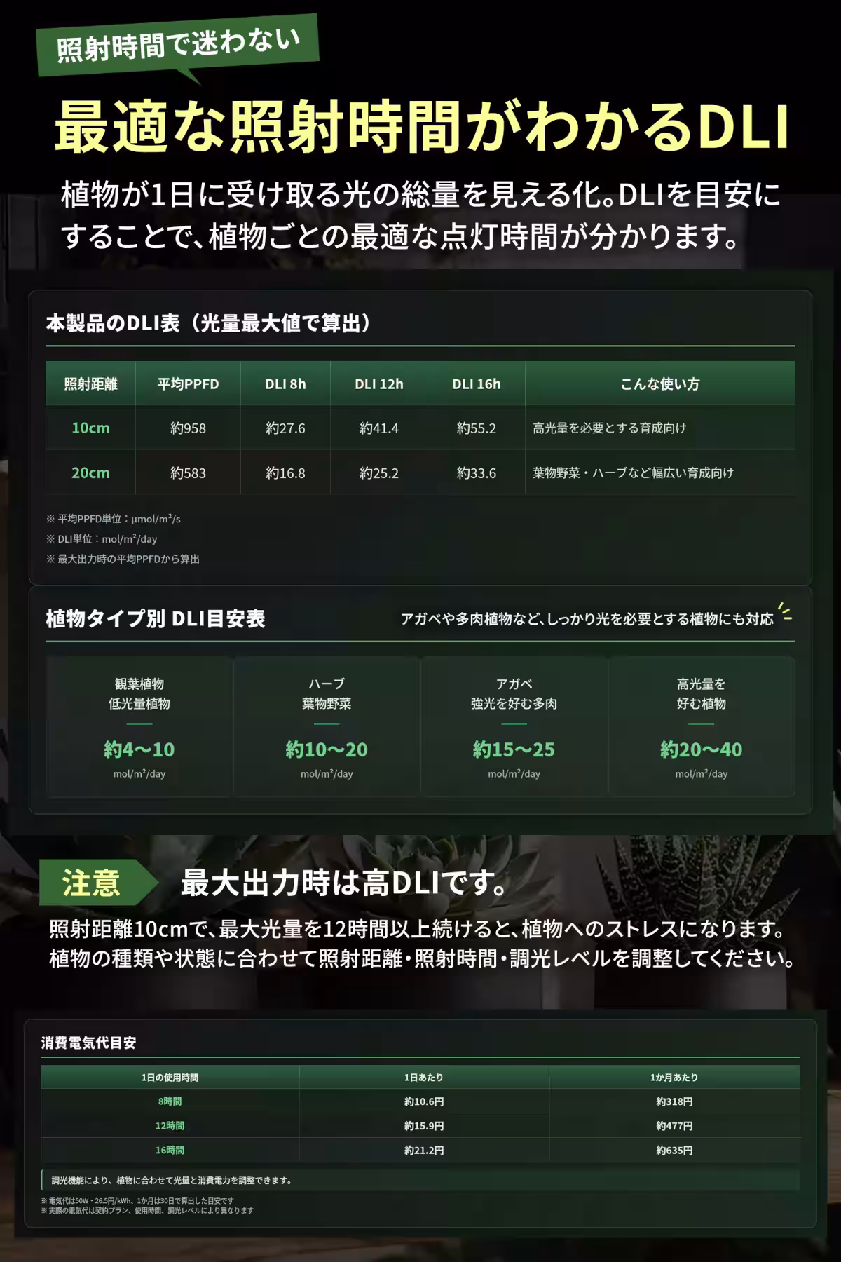 画像15
