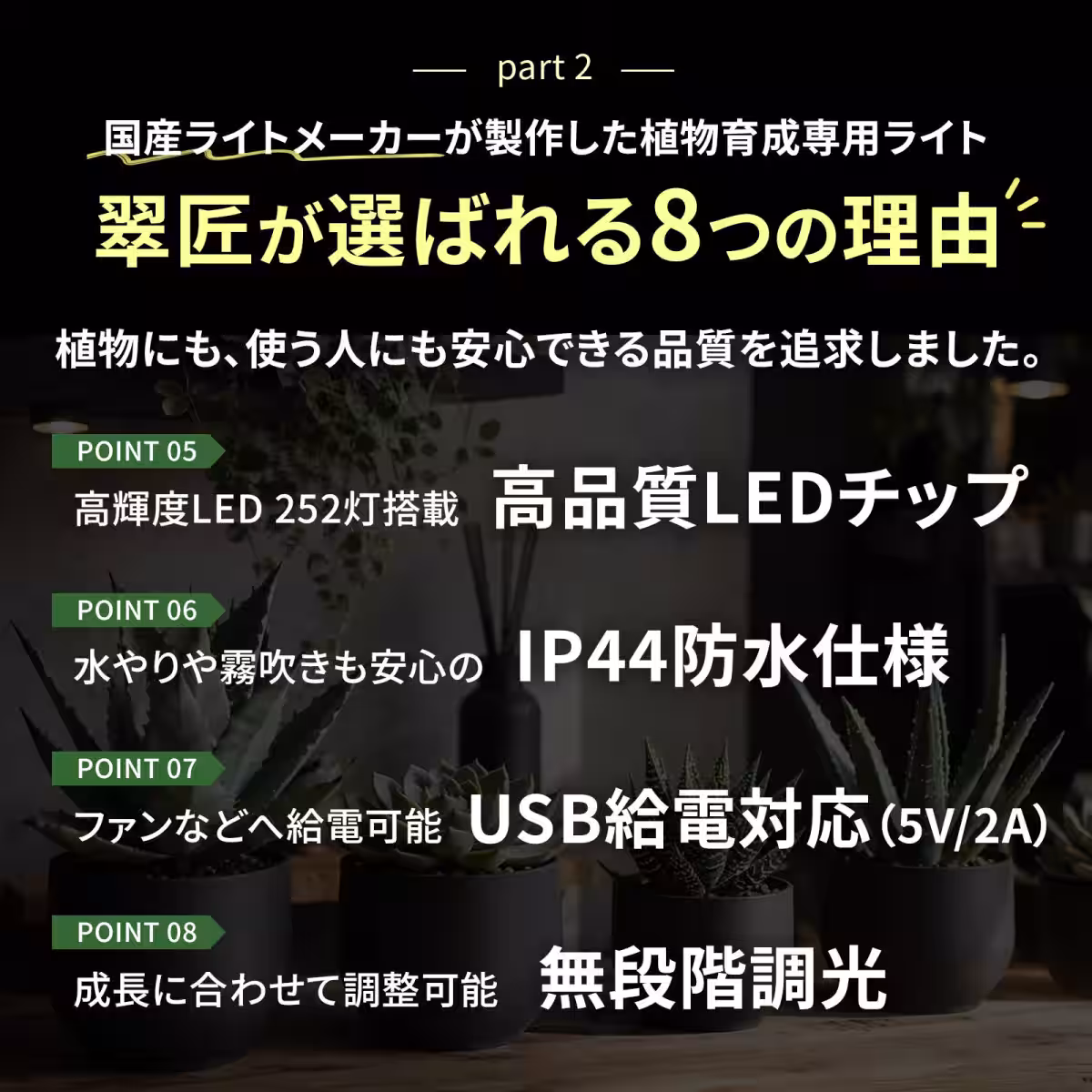 画像20