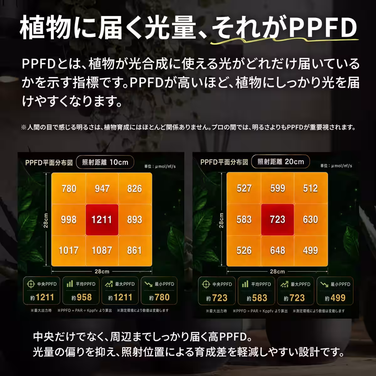 画像14