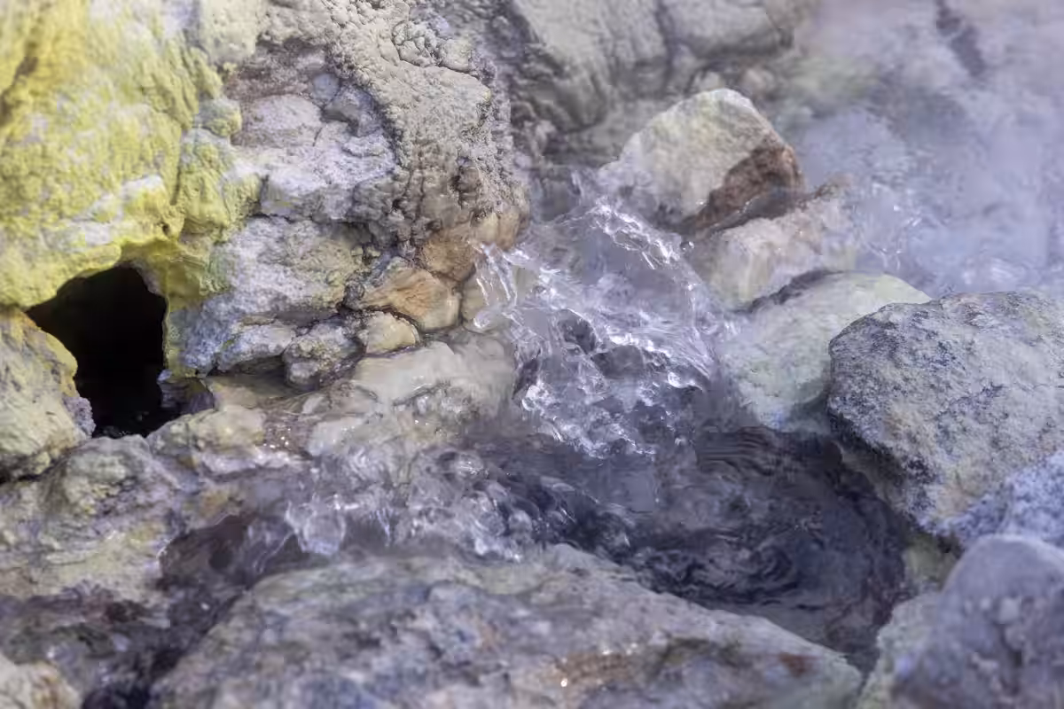 画像12