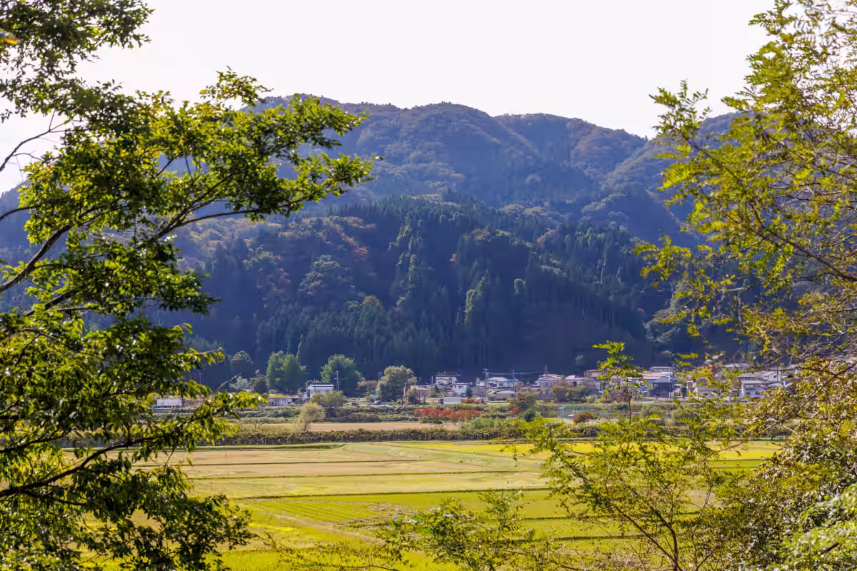 画像6
