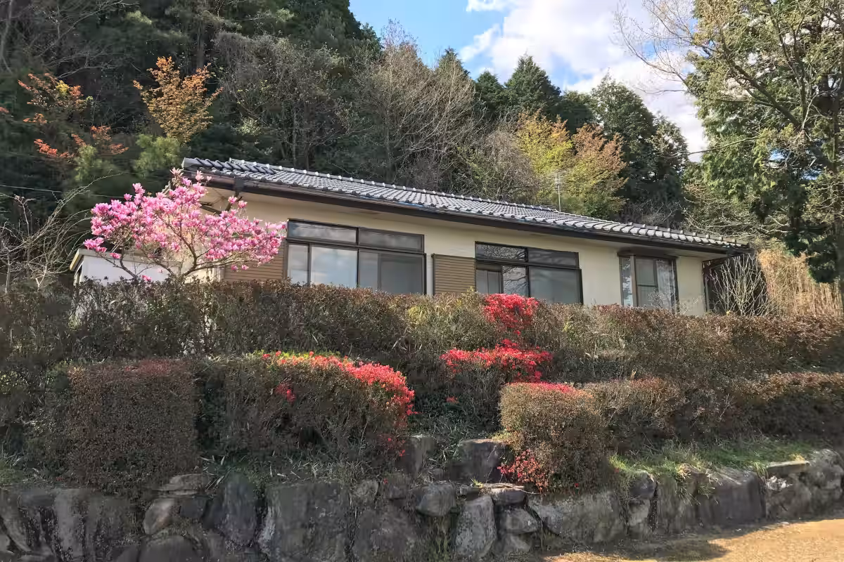画像4