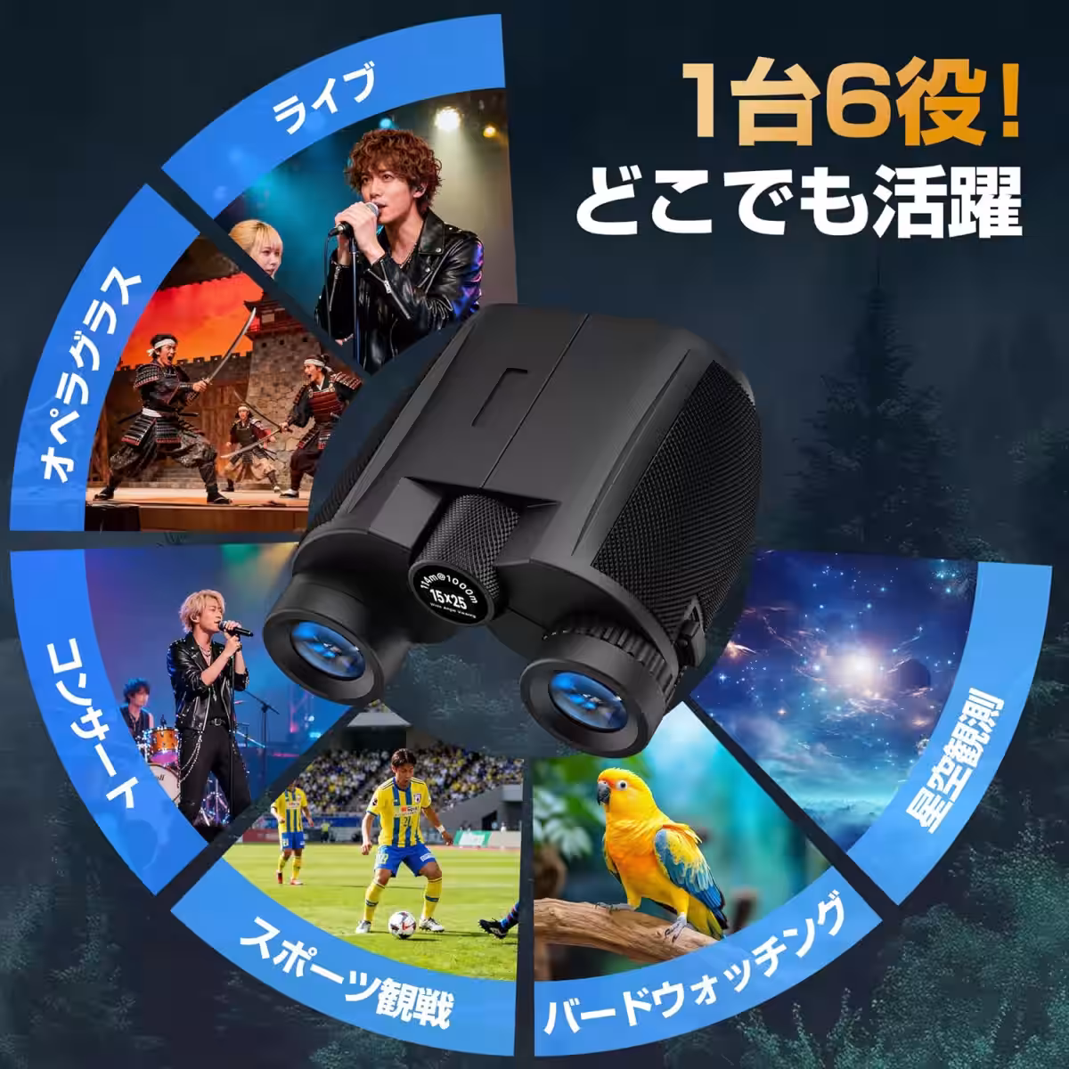 画像5