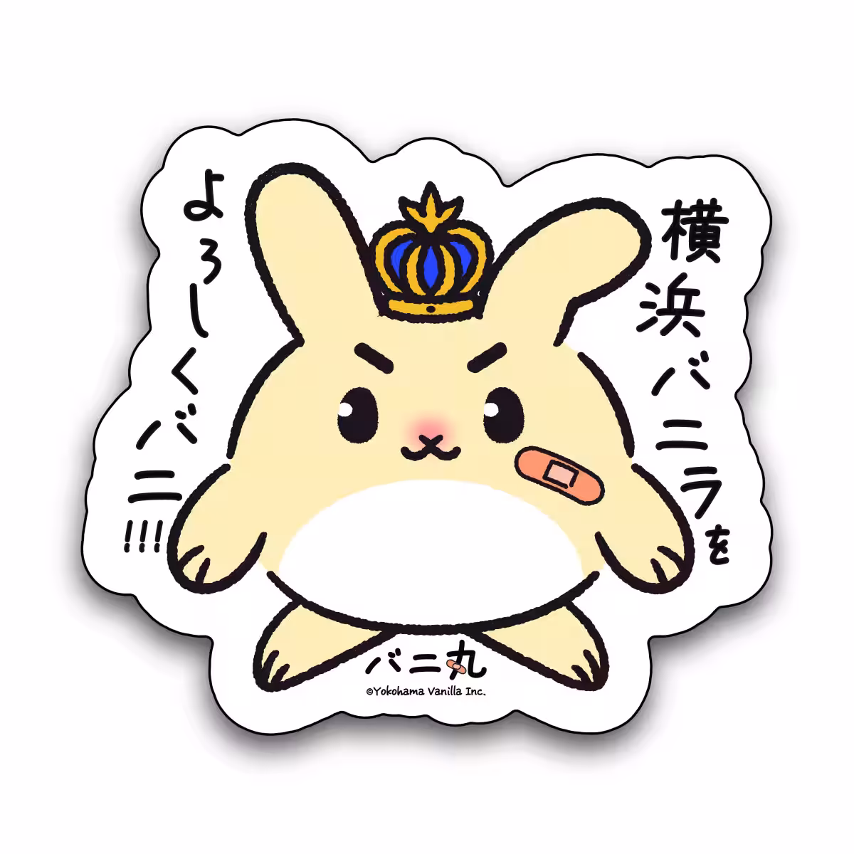 画像9
