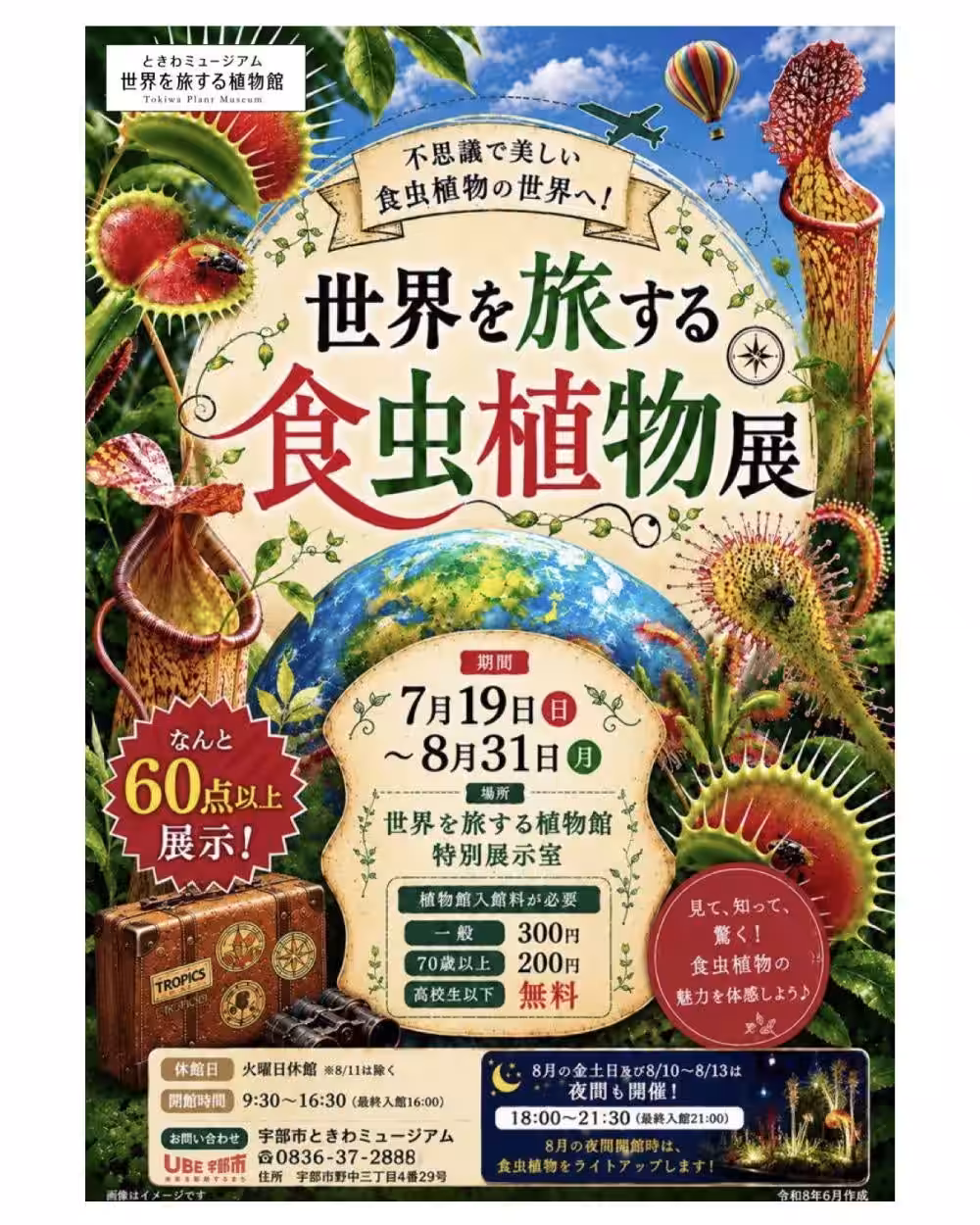 画像11