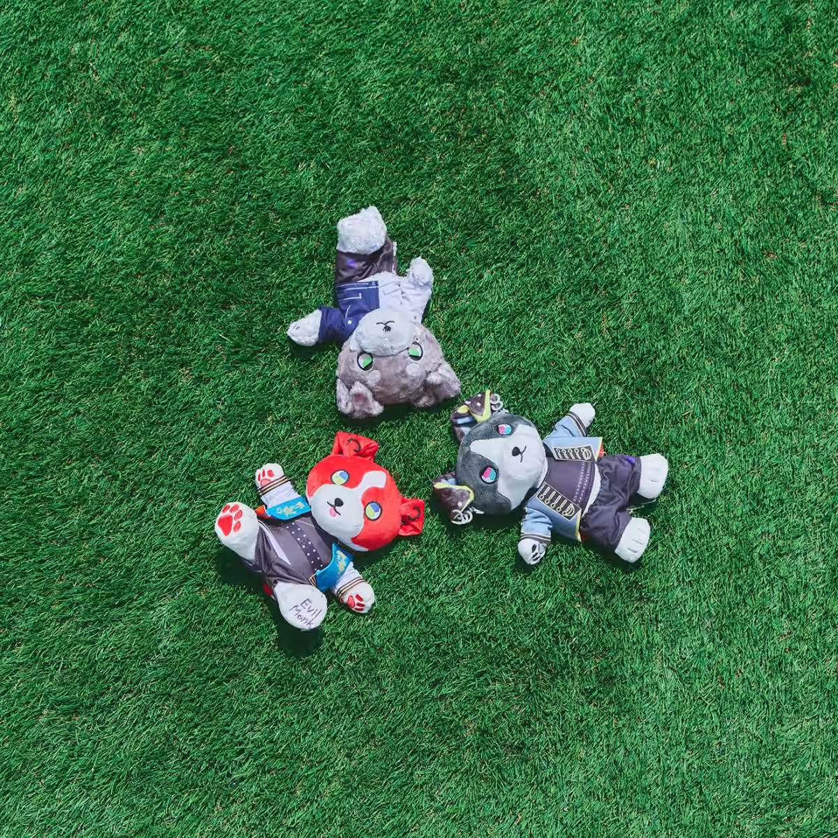 画像7