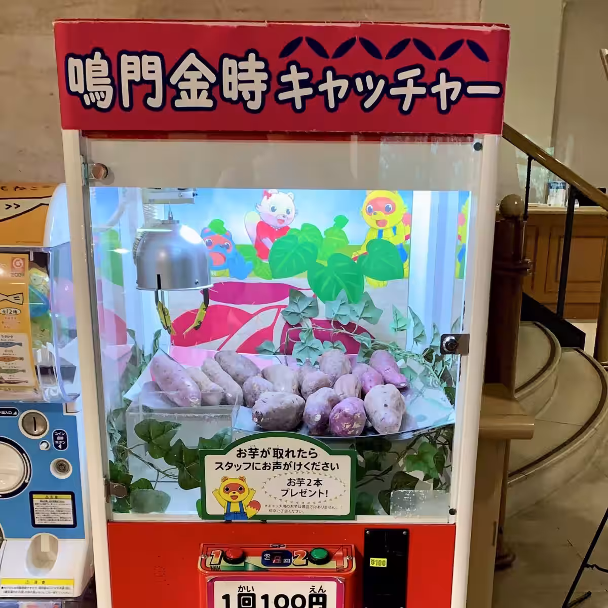 画像15