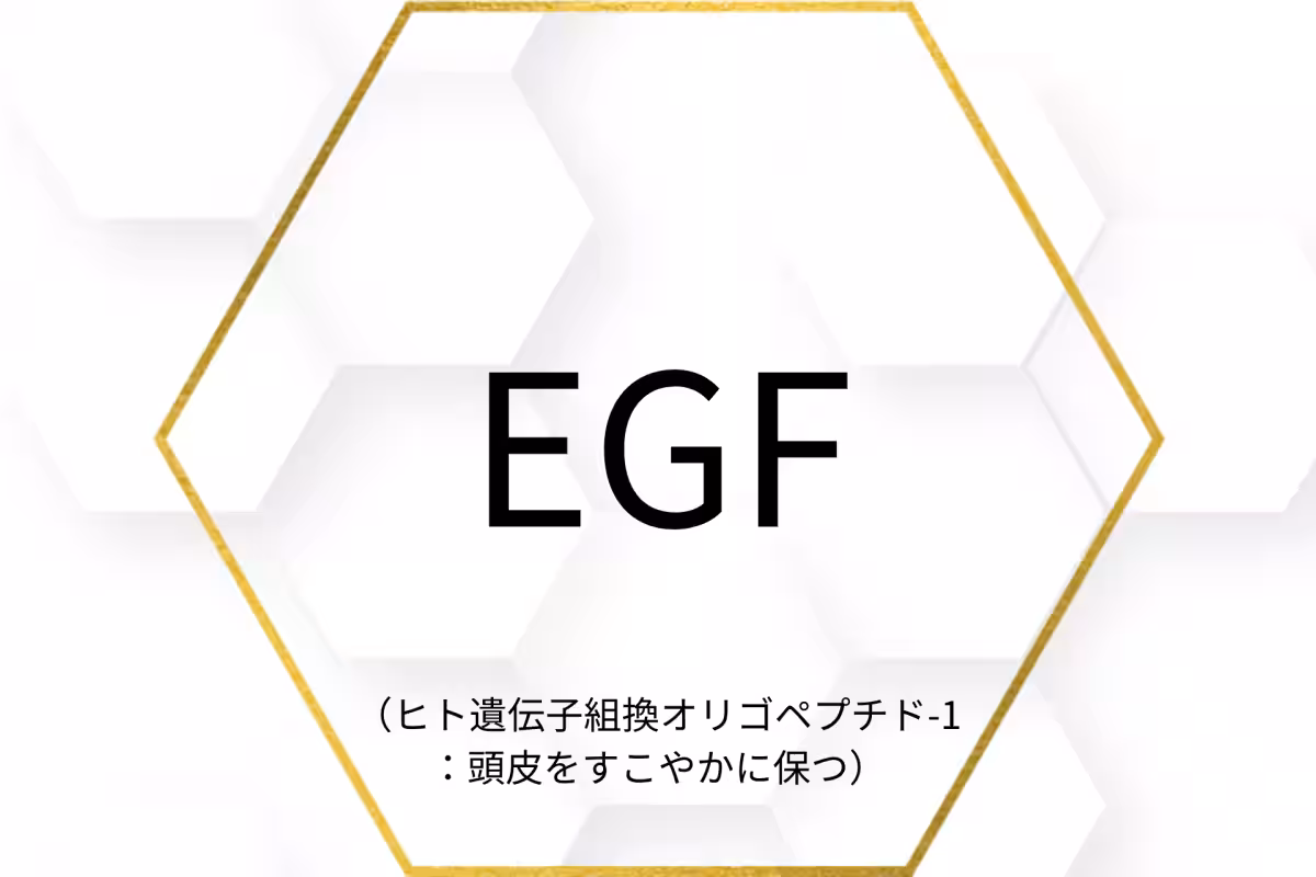 画像15