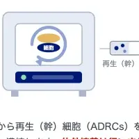新たな尿失禁治療