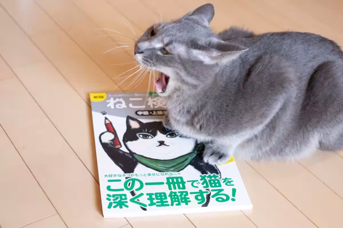 画像14
