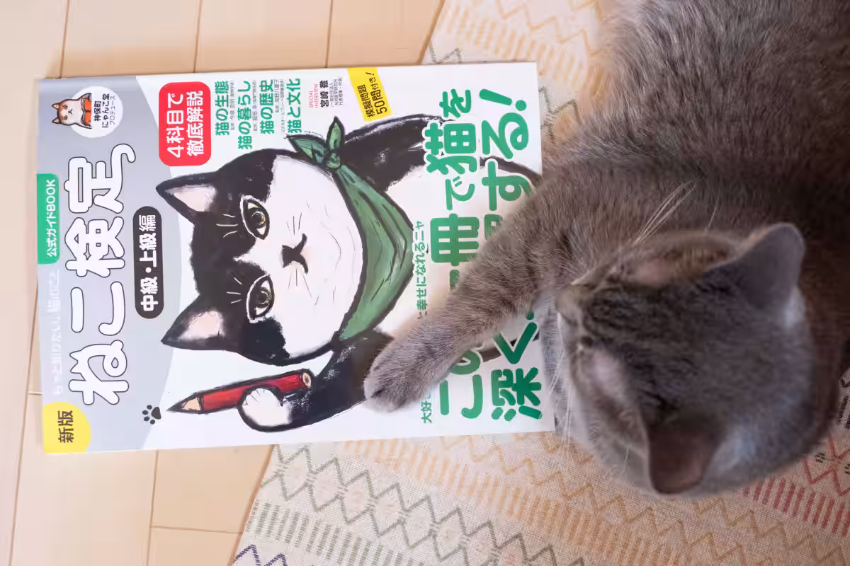 画像9