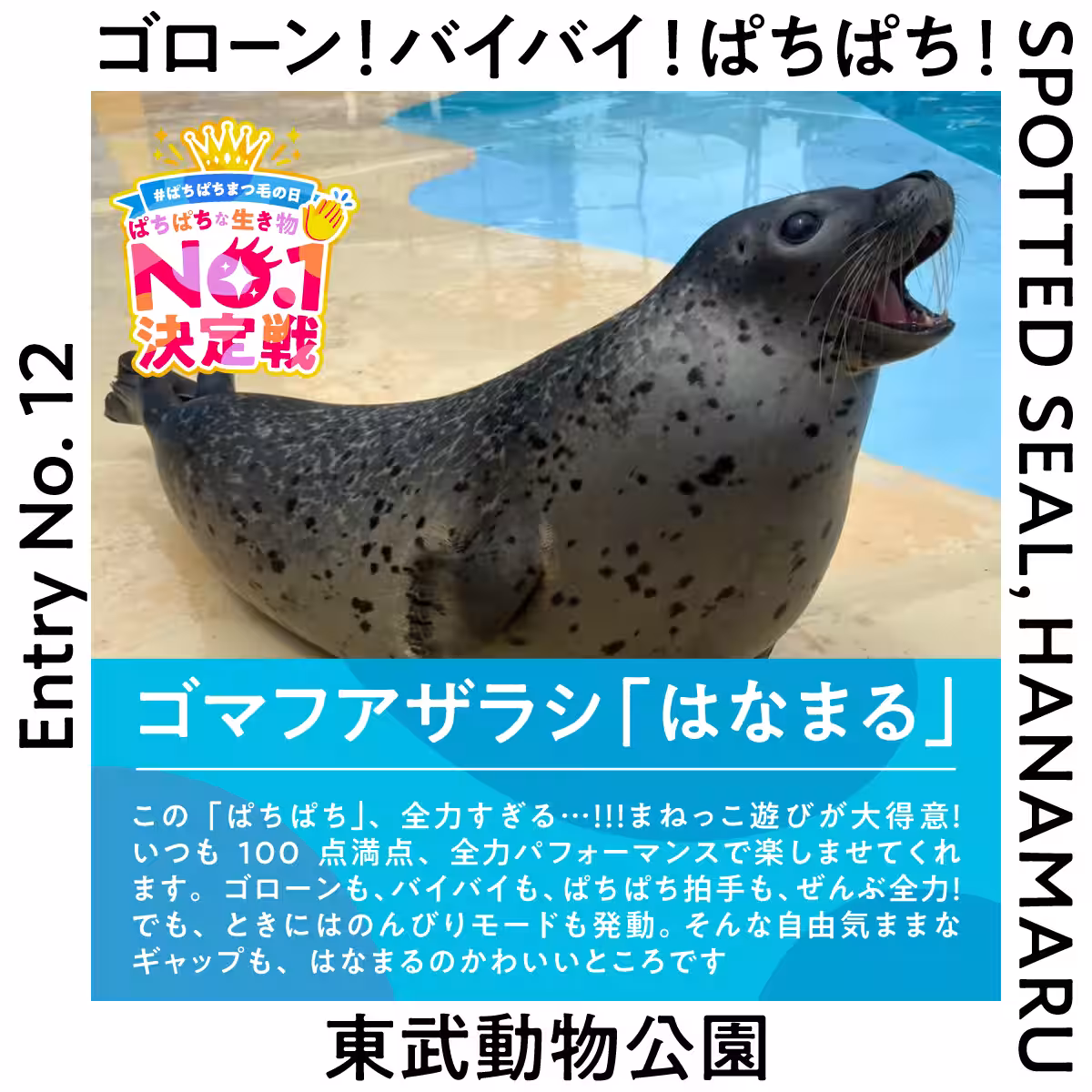 画像19