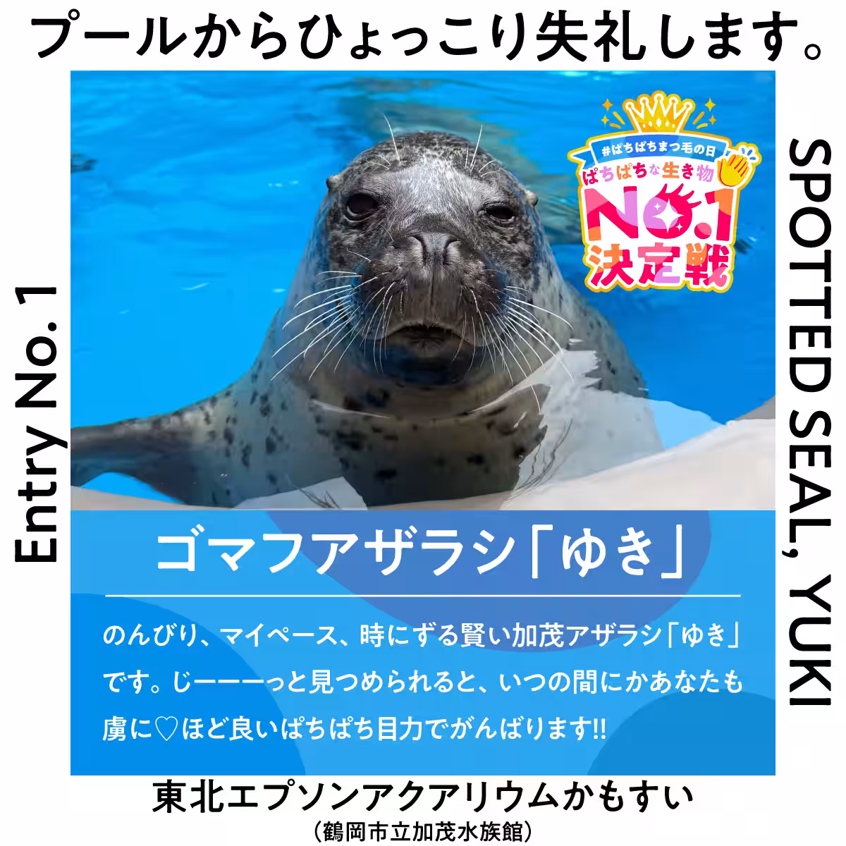 画像20