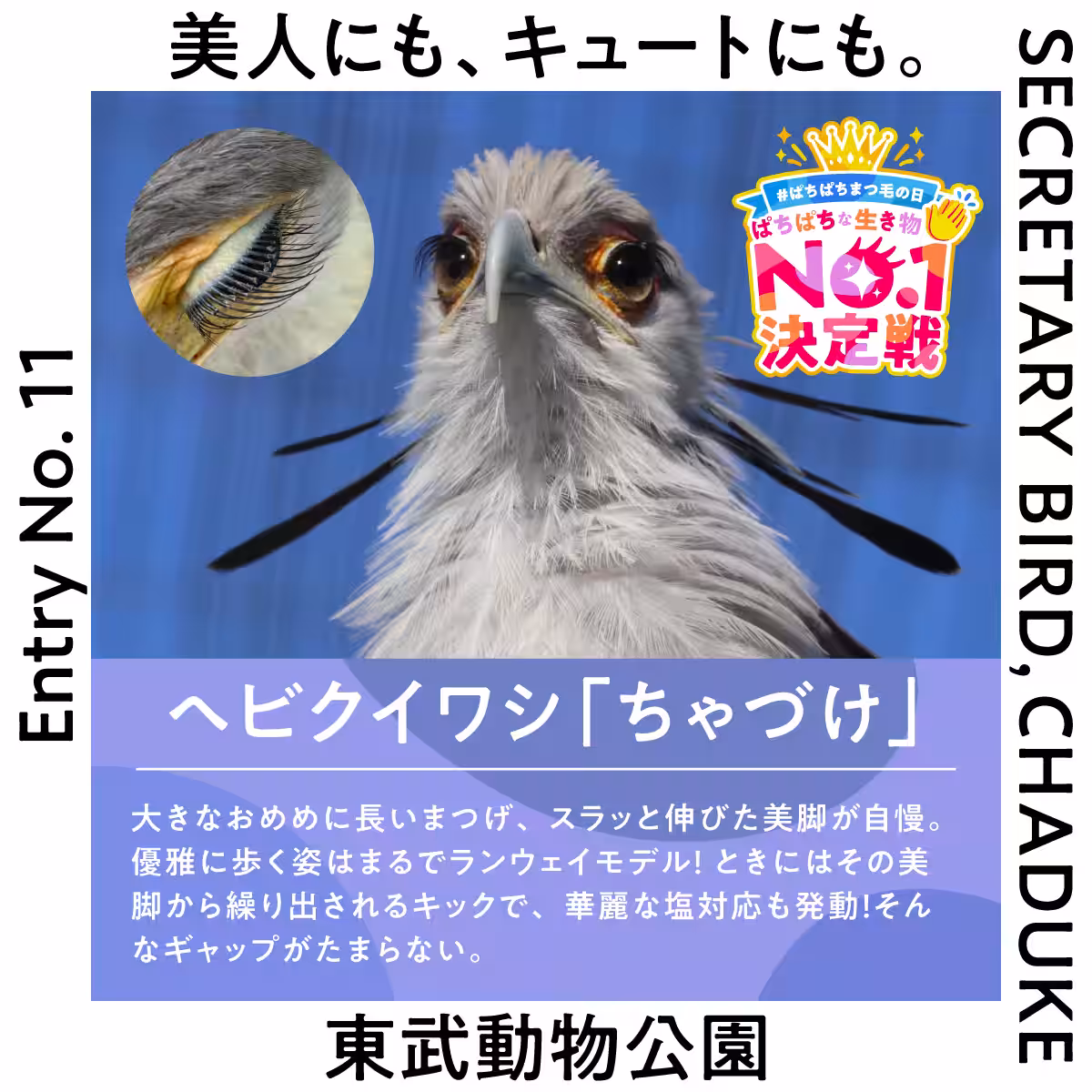 画像18