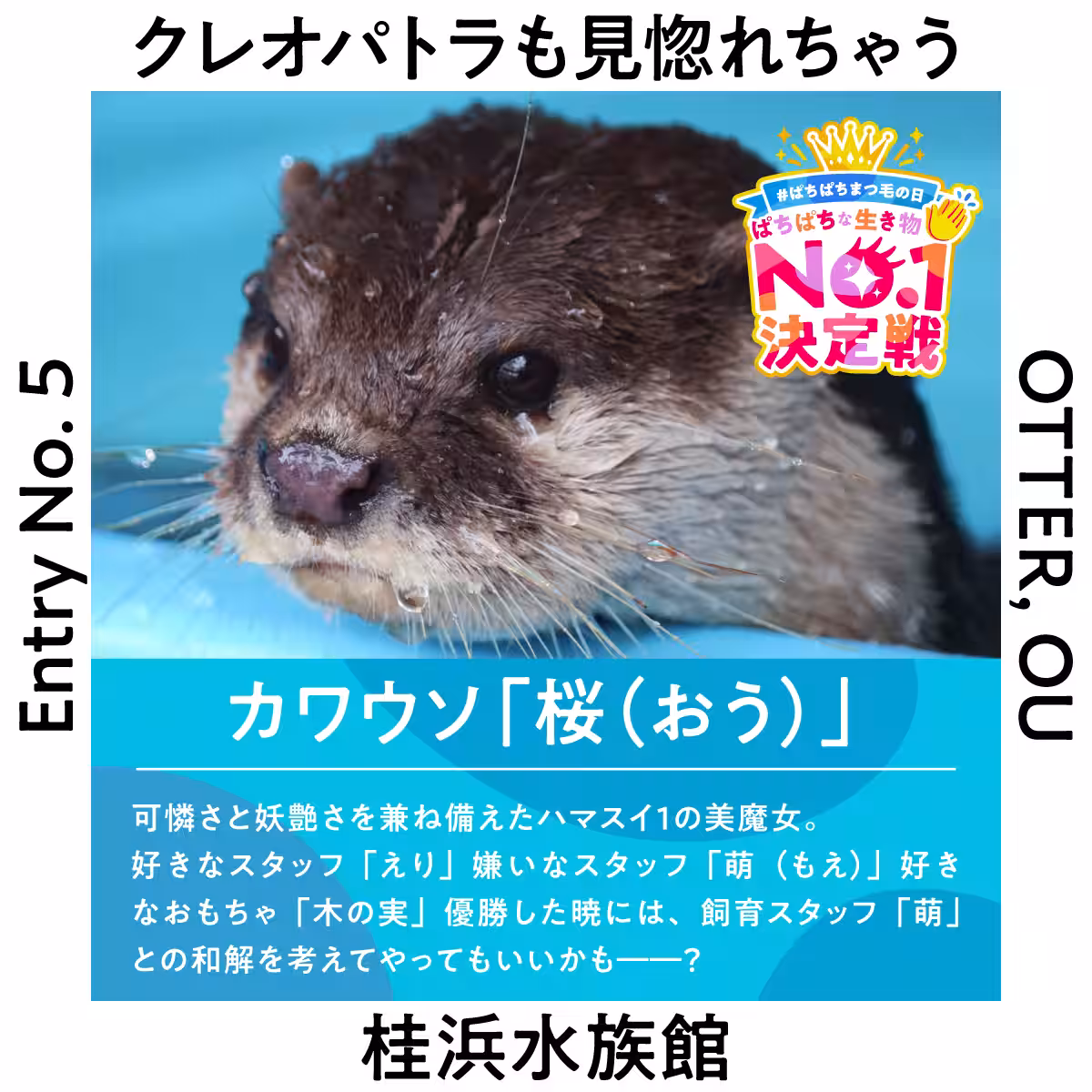 画像24