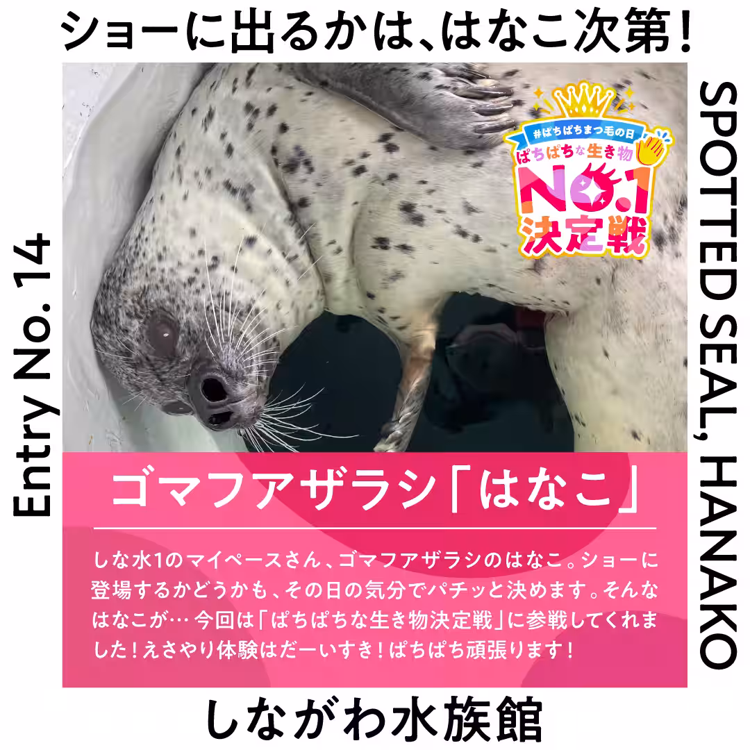 画像28