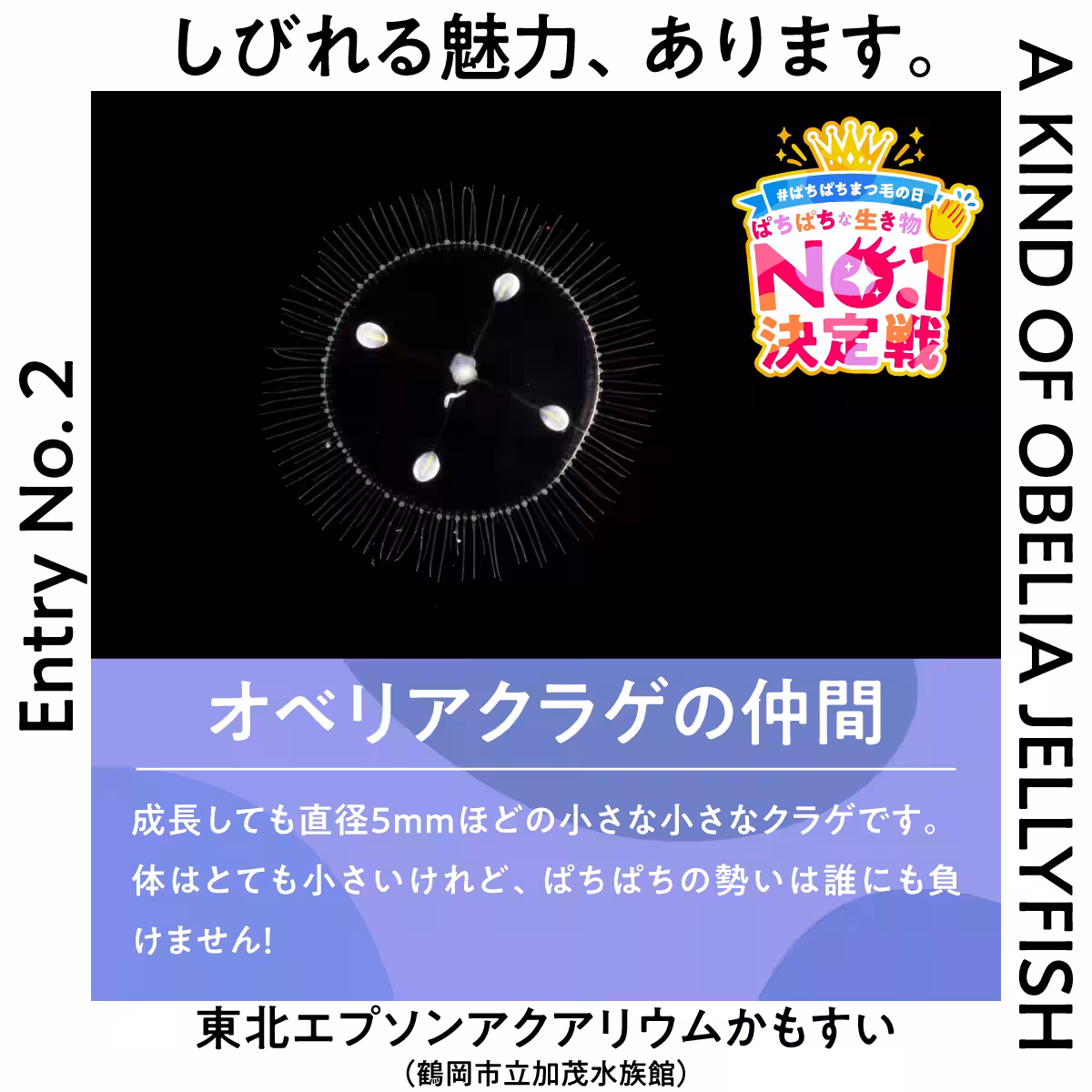 画像21