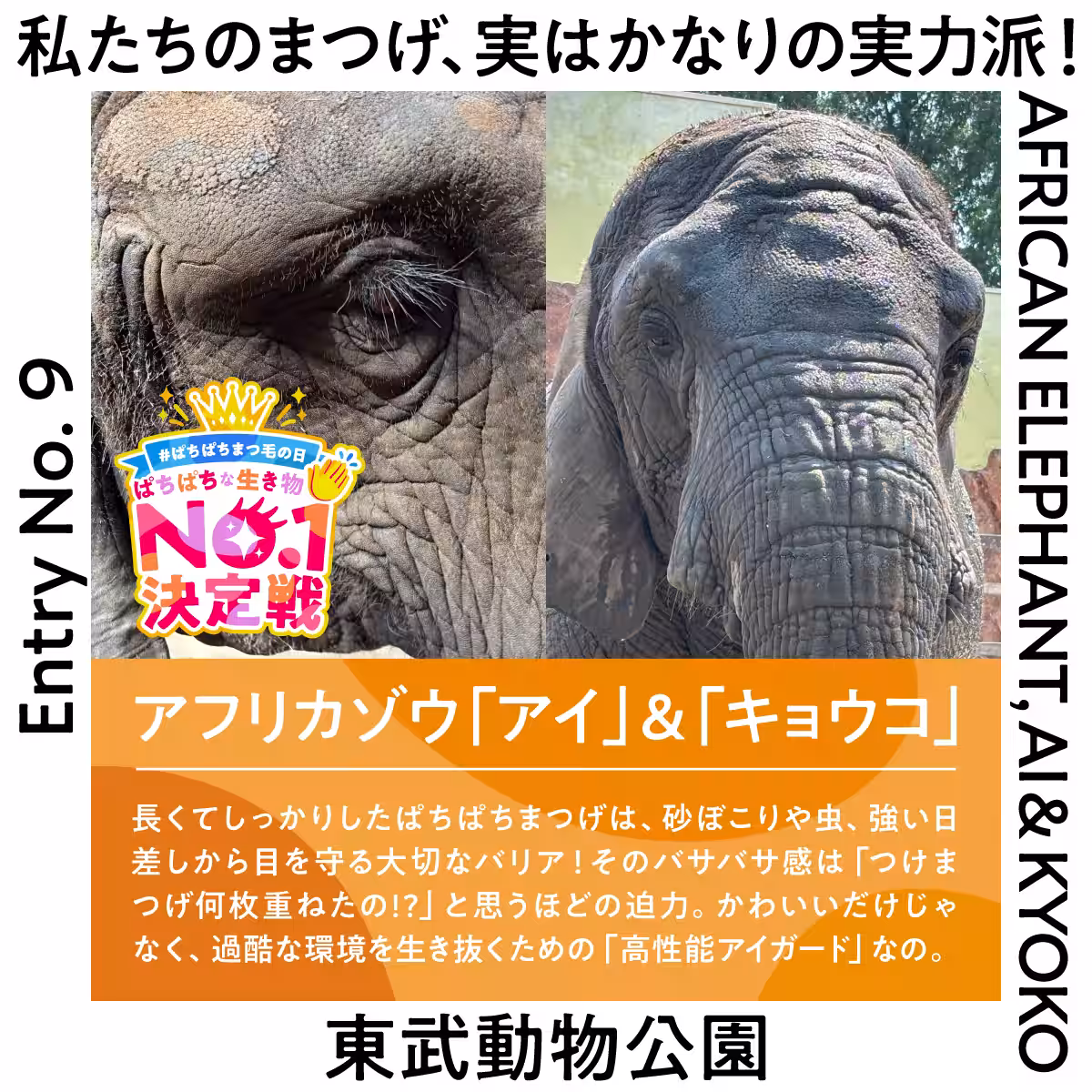 画像16