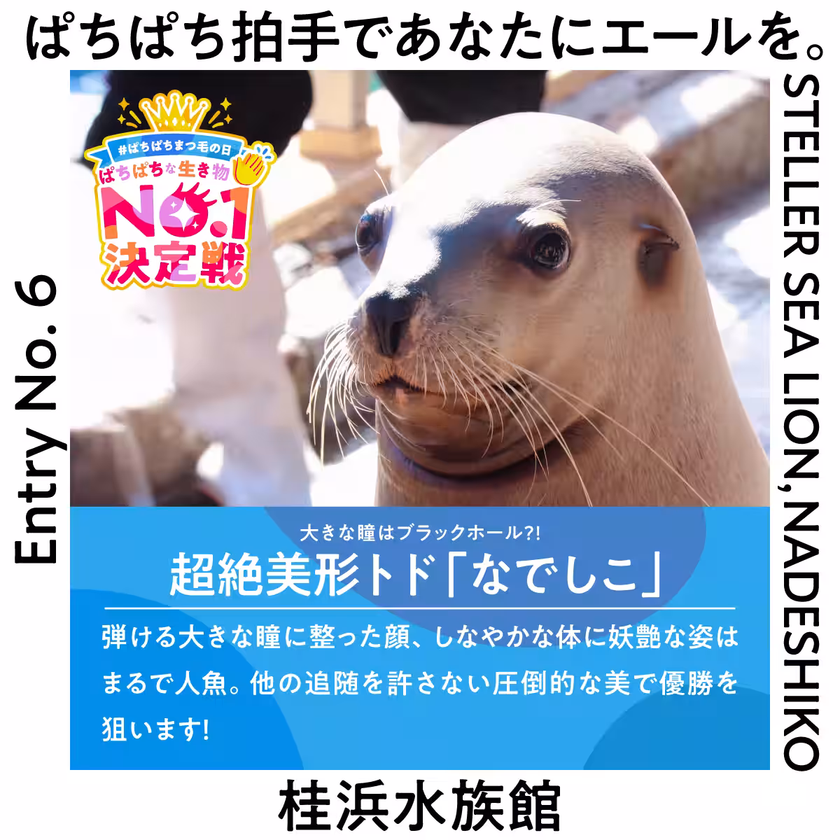 画像25