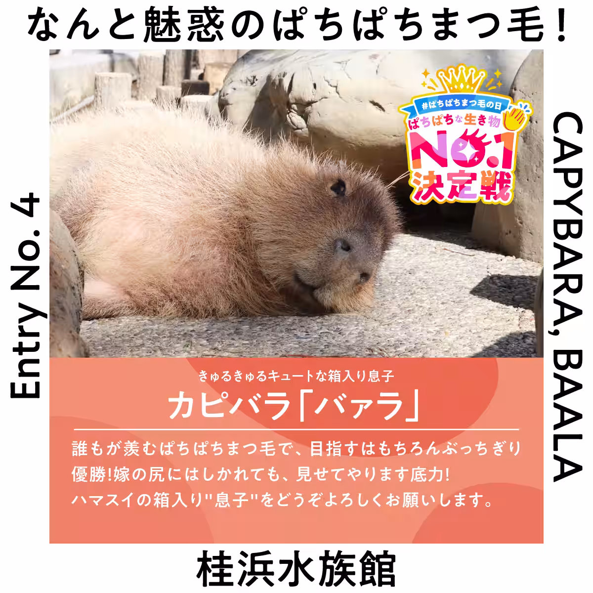 画像23