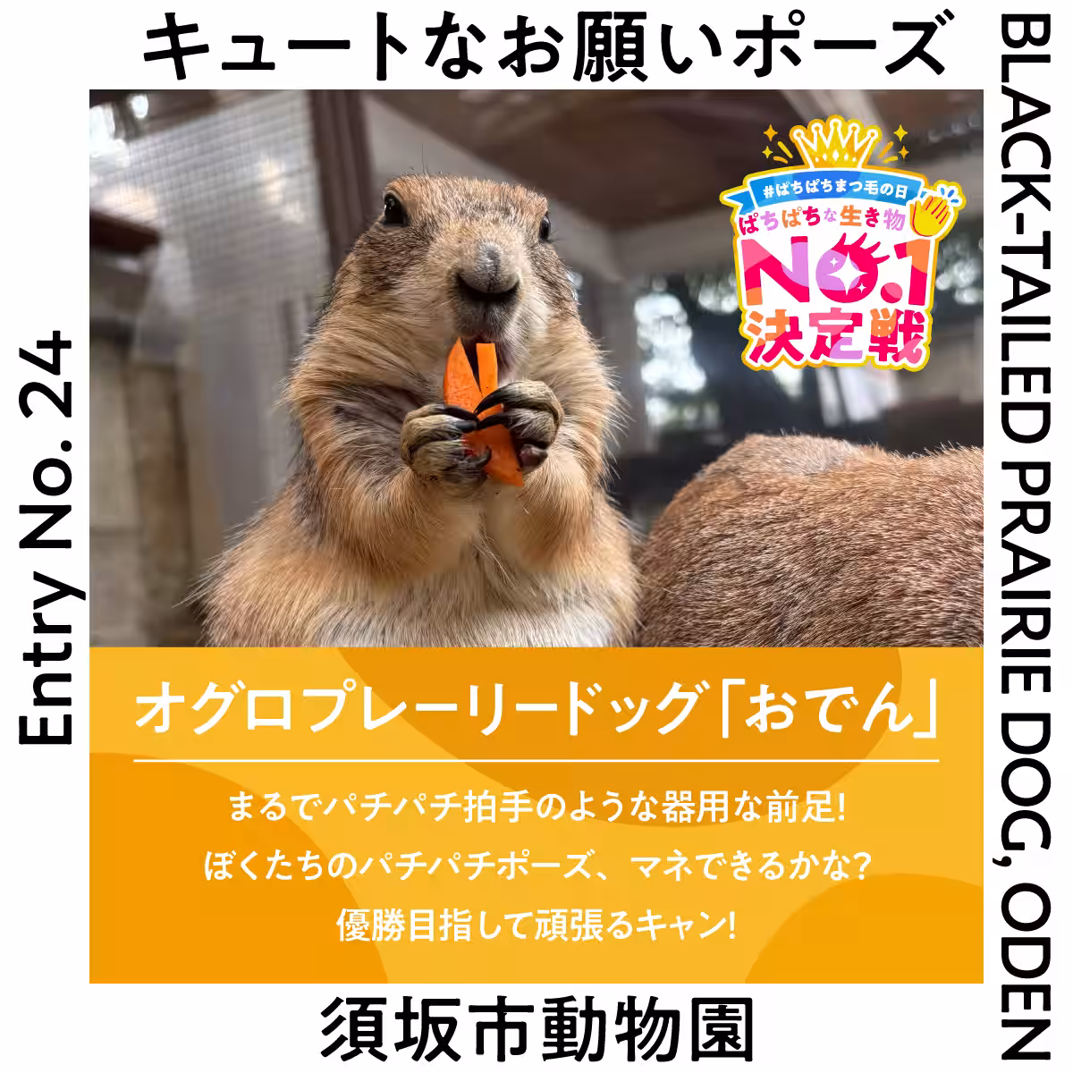 画像14