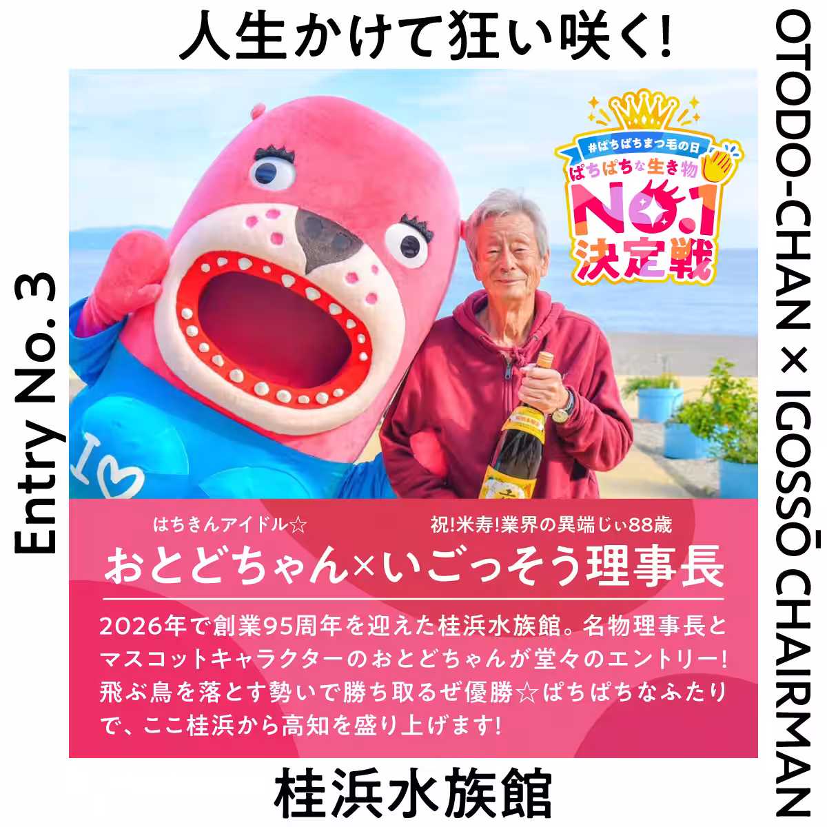 画像22