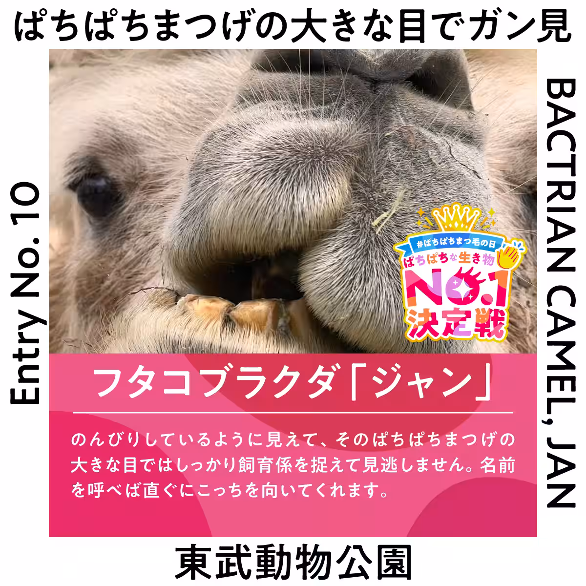 画像17