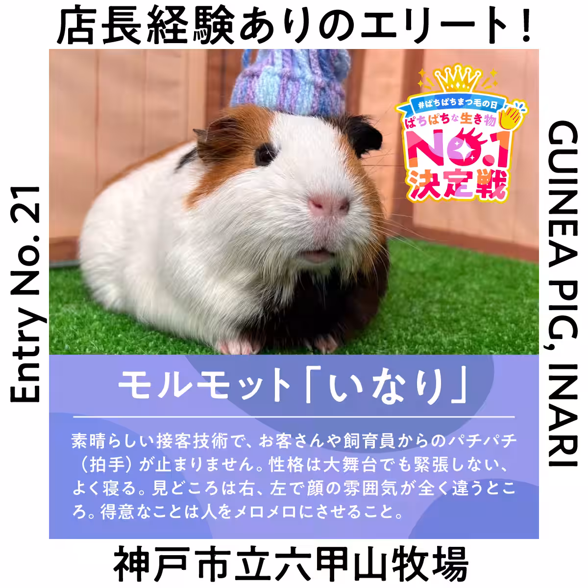 画像11