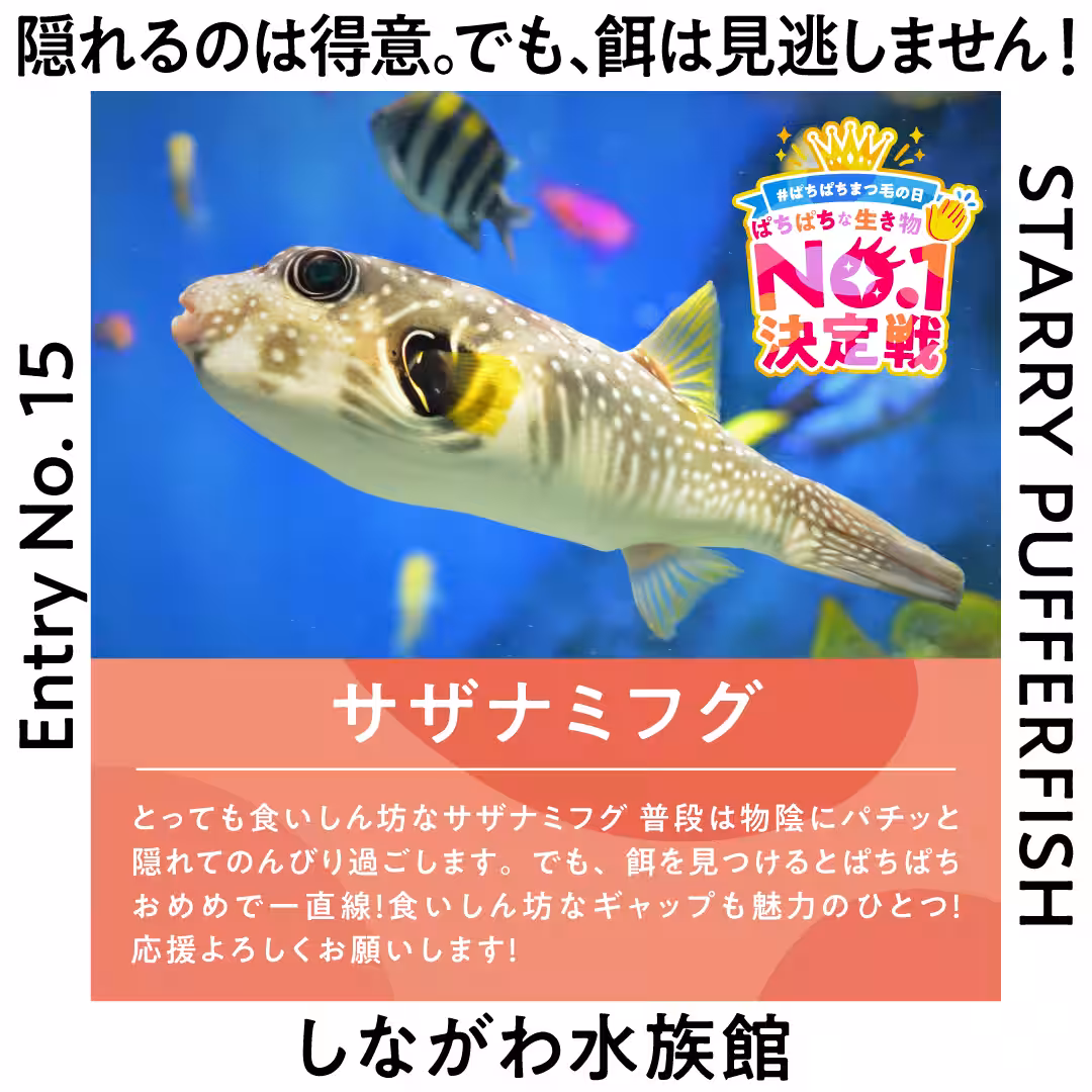 画像29