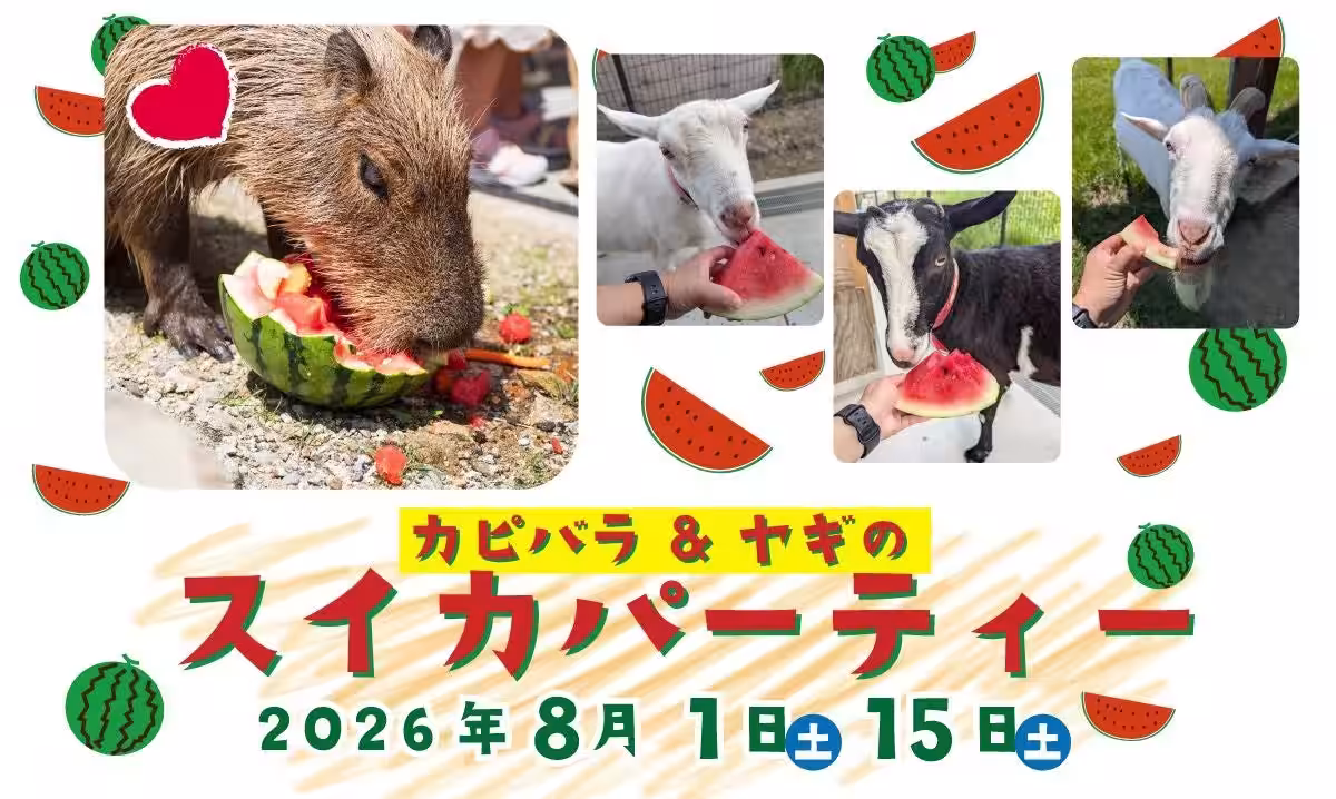 画像10