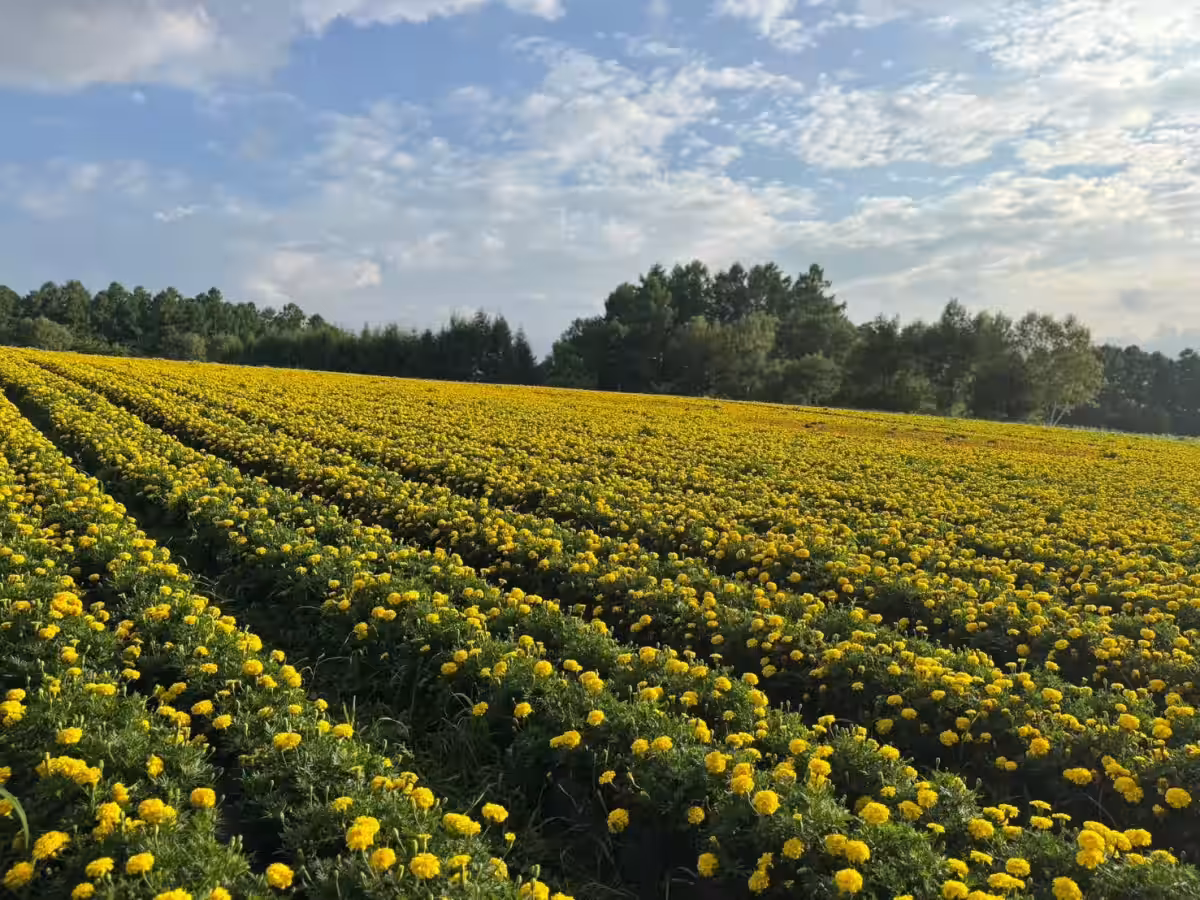 画像13