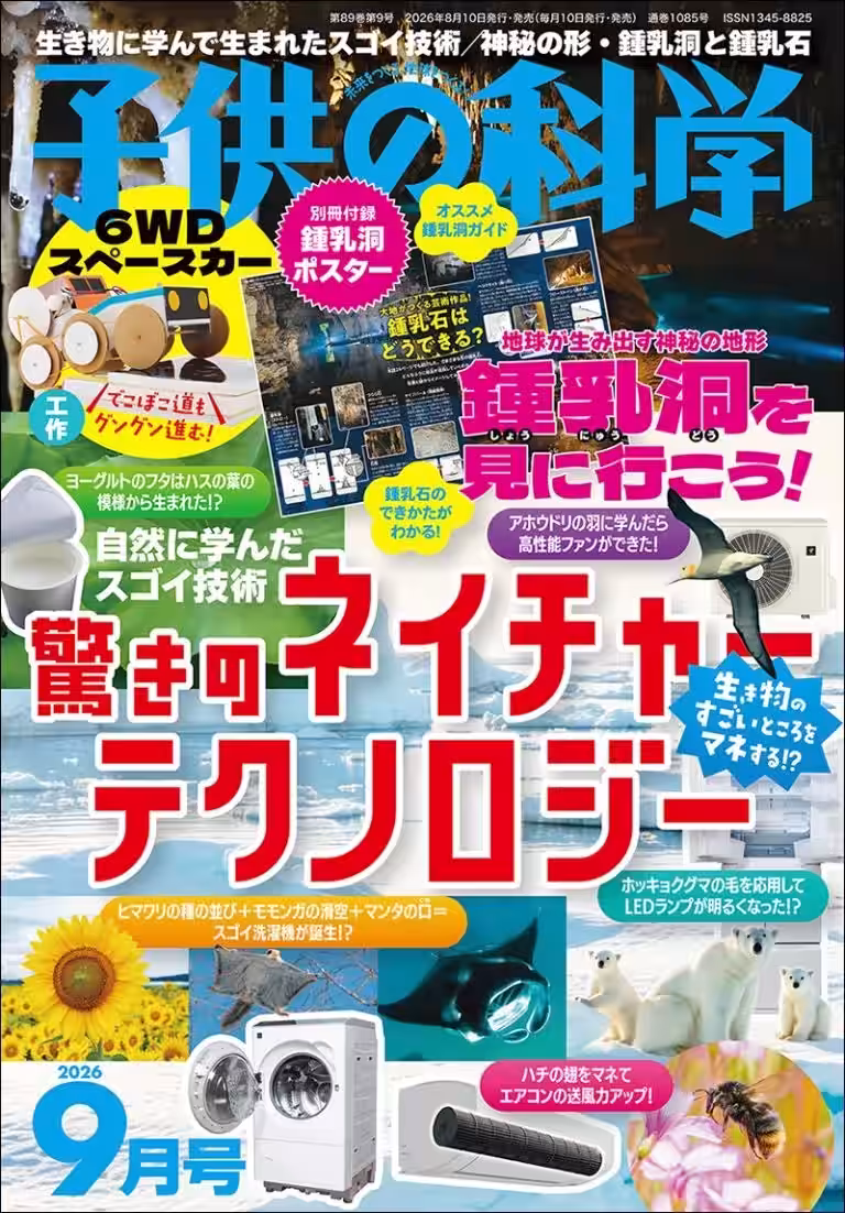 画像5