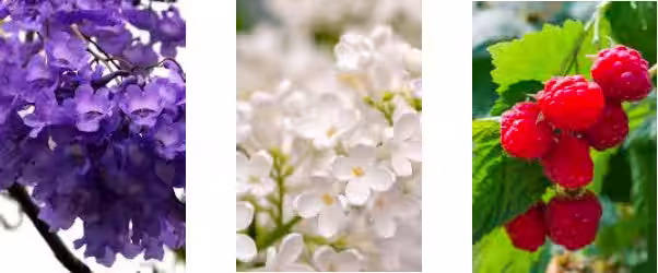画像11