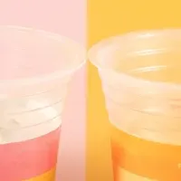 夏のフラッペ特集