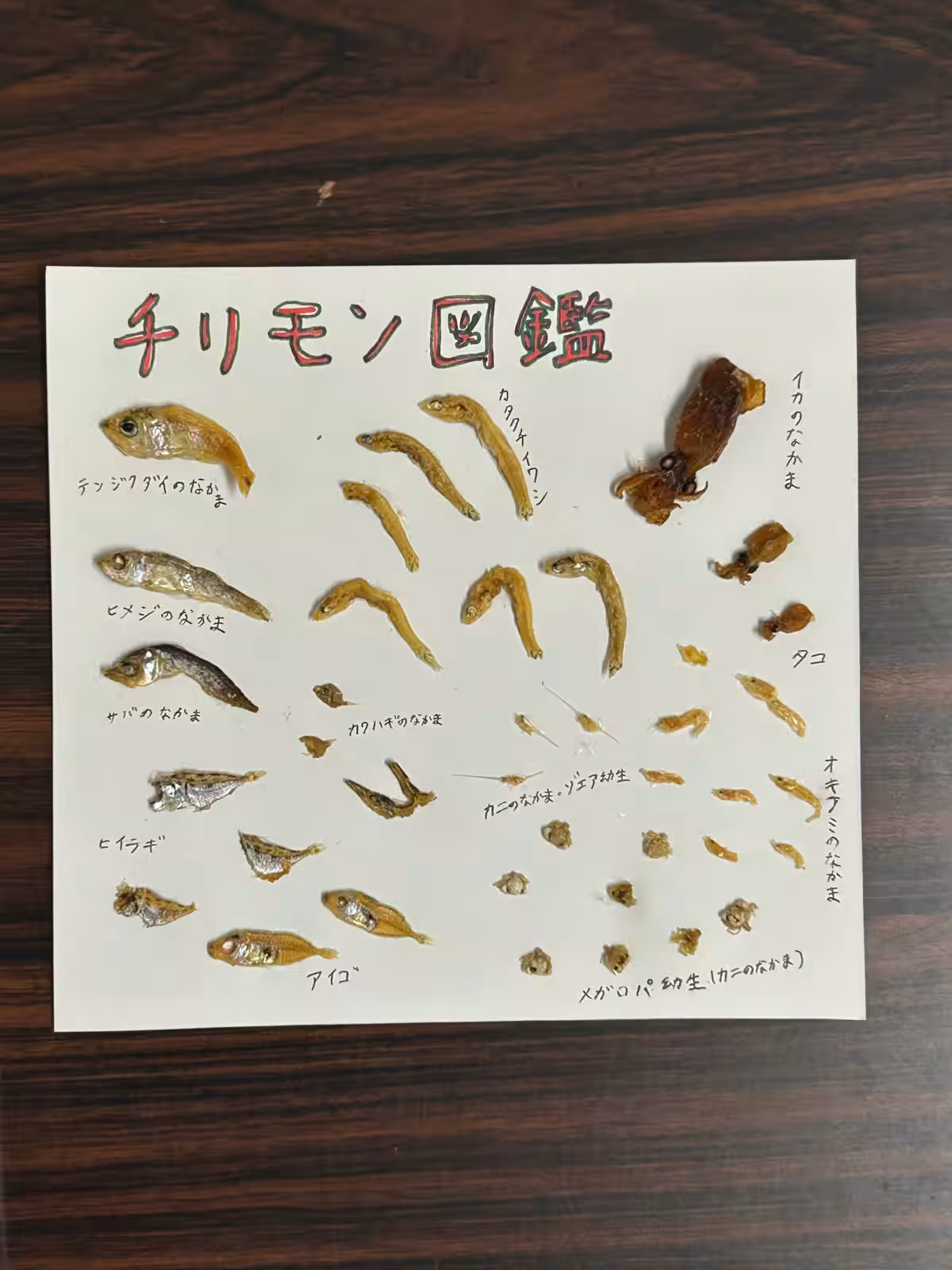 画像4