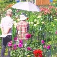 いなべ市のダリアイベント