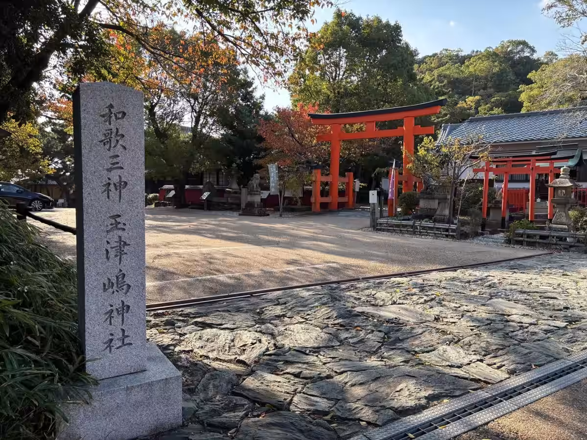 画像6