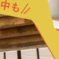 ユニテハウス見学会