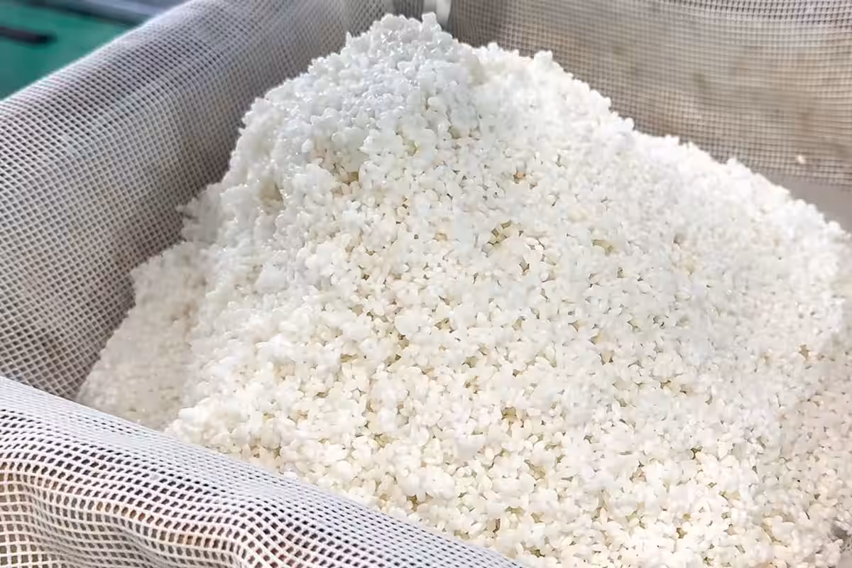画像14
