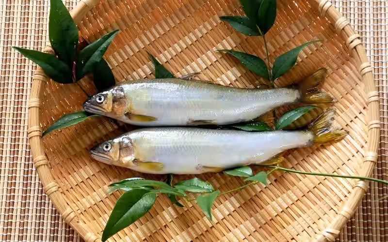 画像4