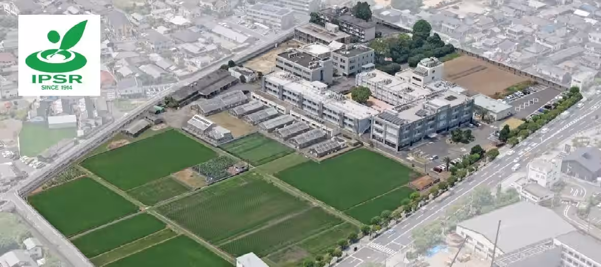 画像8