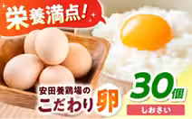 画像13