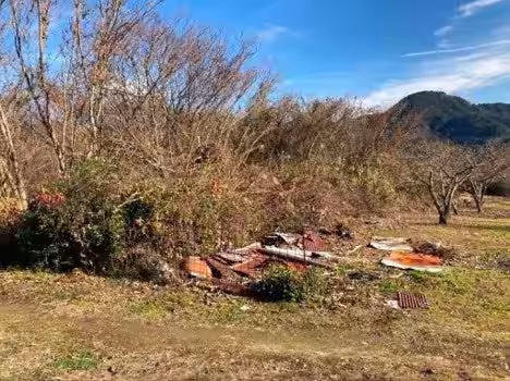 画像8