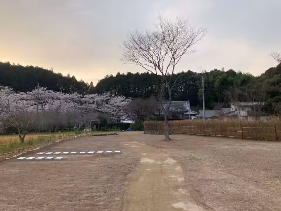 画像12